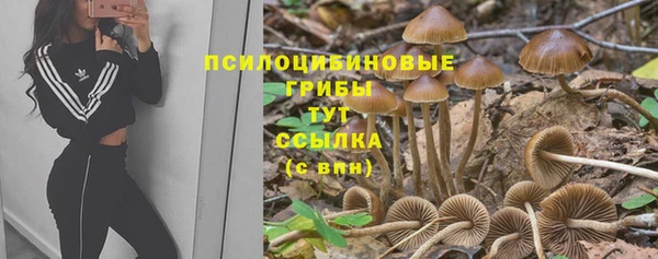 спайс Верхний Тагил