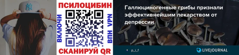 Псилоцибиновые грибы прущие грибы  наркота  Чегем 